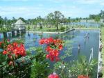 Large garden and pond in Taman Ujung